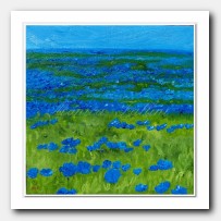 Blue Poppies' field # 4