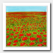 Red Poppies field