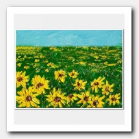 Sunflowers' field # 4