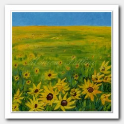 Sunflowers field III