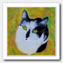 Blanquita, cat Portrait