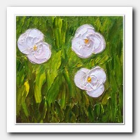 Jungle flowers. White Poppies