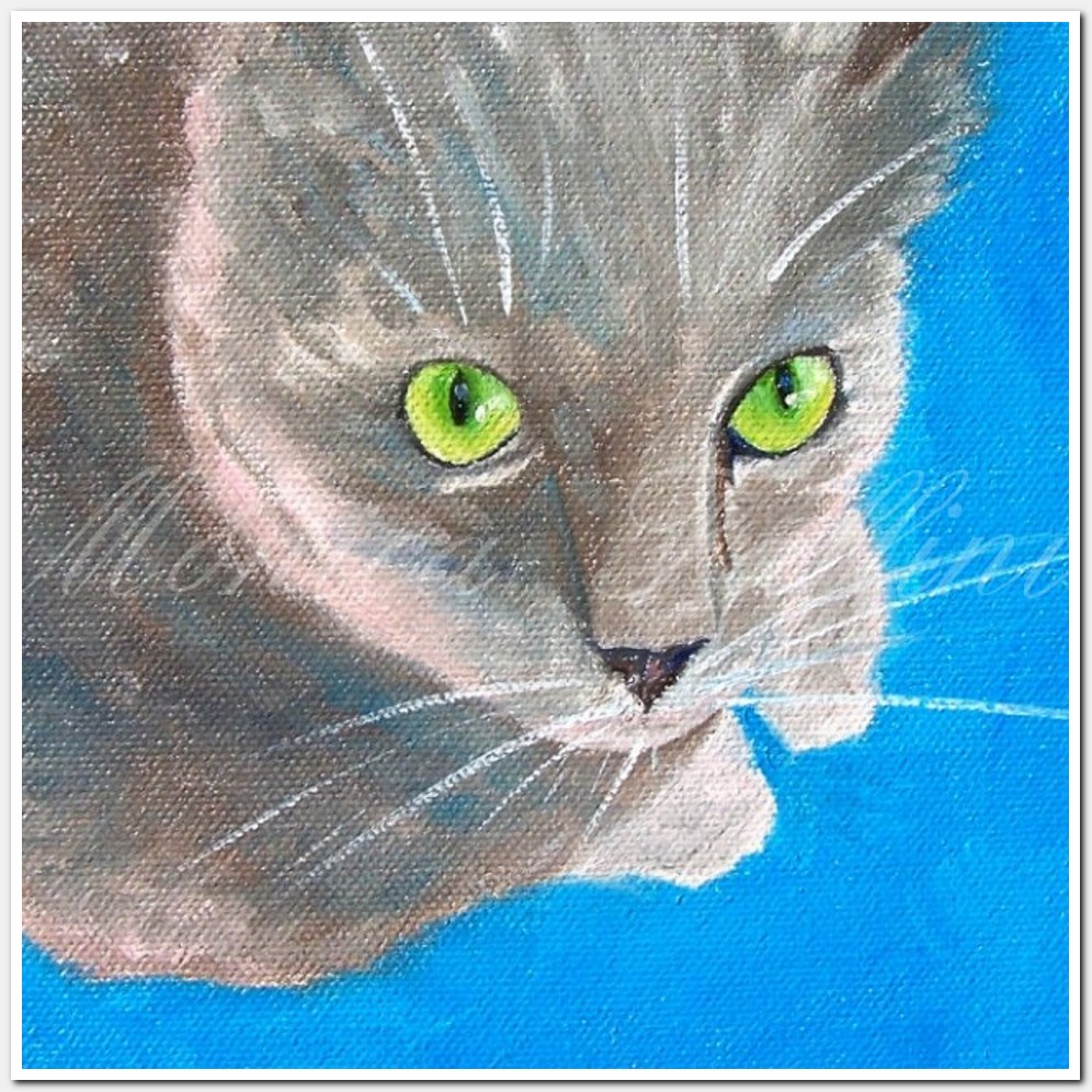 Painting titled 'Cat Nacho. Pet portrait' by Monica Fallini