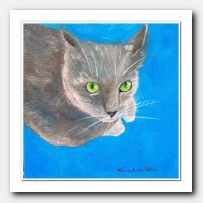 Cat Nacho. Pet portrait