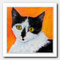 Cat Blanquita on orange background
