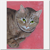 Cat portrait Minnie