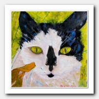 Cat portrait Blanquita # 4 