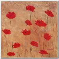 Red Poppies on Earth