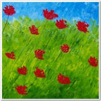 Windy days, red Poppies