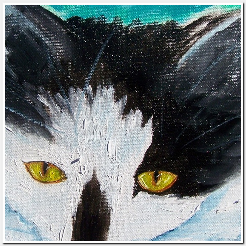 Painting titled 'Cat portrait Blanquita' by Monica Fallini