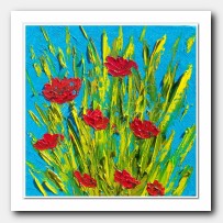 Wild Poppies, red Poppies