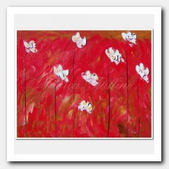 White Poppies on red landscape