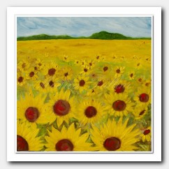 Sunflowers field # 13045
