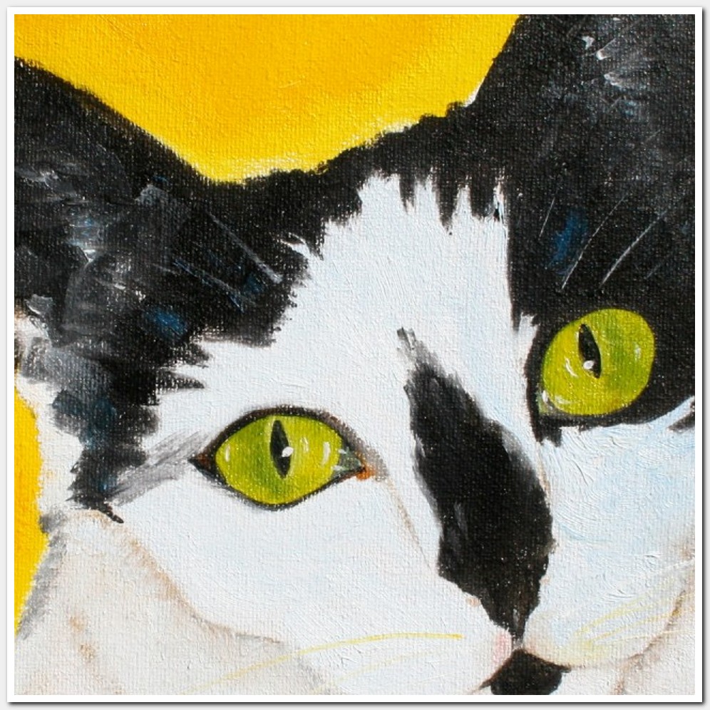 Painting titled 'Cat Blanquita.' by Monica Fallini