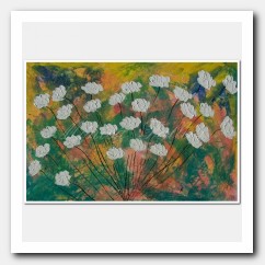 Bouquet of white Poppies