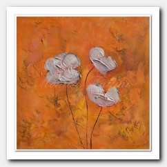 Pearl Poppies at sunset