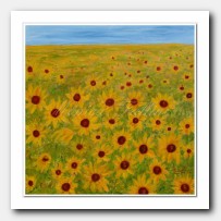 Field of Sunflowers