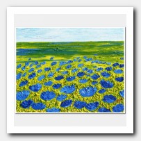 Field of blue Poppies