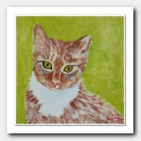 Kitty. Cat portrait