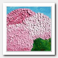 Pink Hydrangeas in her garden