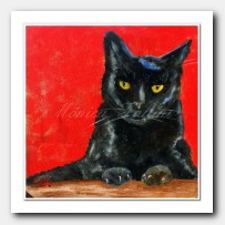 Portrait of Pauline. Cat portrait