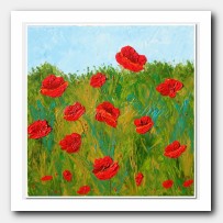 Wild Poppies in the field. Red Poppies
