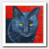 Blue cat Pauline. Cat portrait