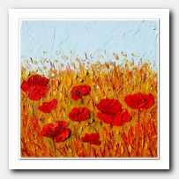 Wild Poppies in the field. Red Poppies