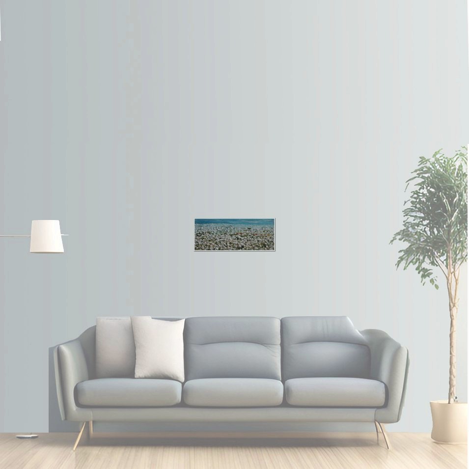 Painting titled 'Louisiana Cotton Field' by Monica Fallini