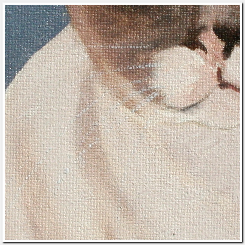 Painting titled 'Rocco' by Monica Fallini