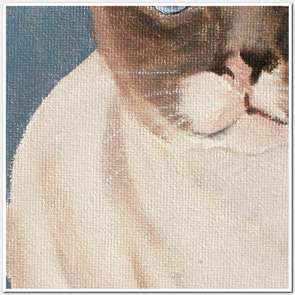 Painting titled 'Rocco' by Monica Fallini