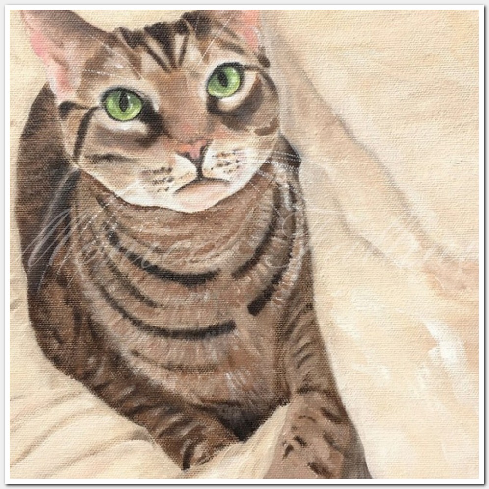Painting titled 'Murrie's portrait. Pet Cat portrait' by Monica Fallini