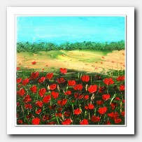 Poppies' field dream, red Poppies