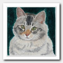 Cat Portrait # 1