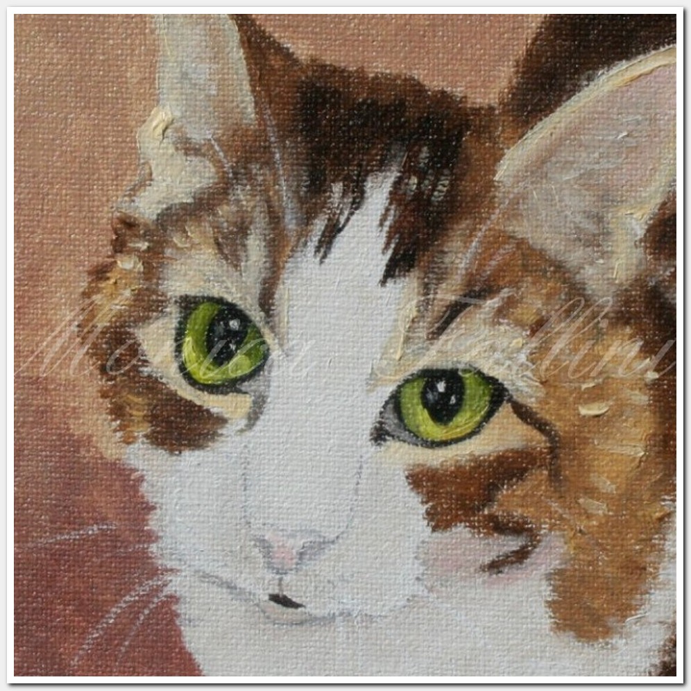Painting titled 'Cat Portrait # 2' by Monica Fallini