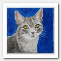 Cat Portrait # 3