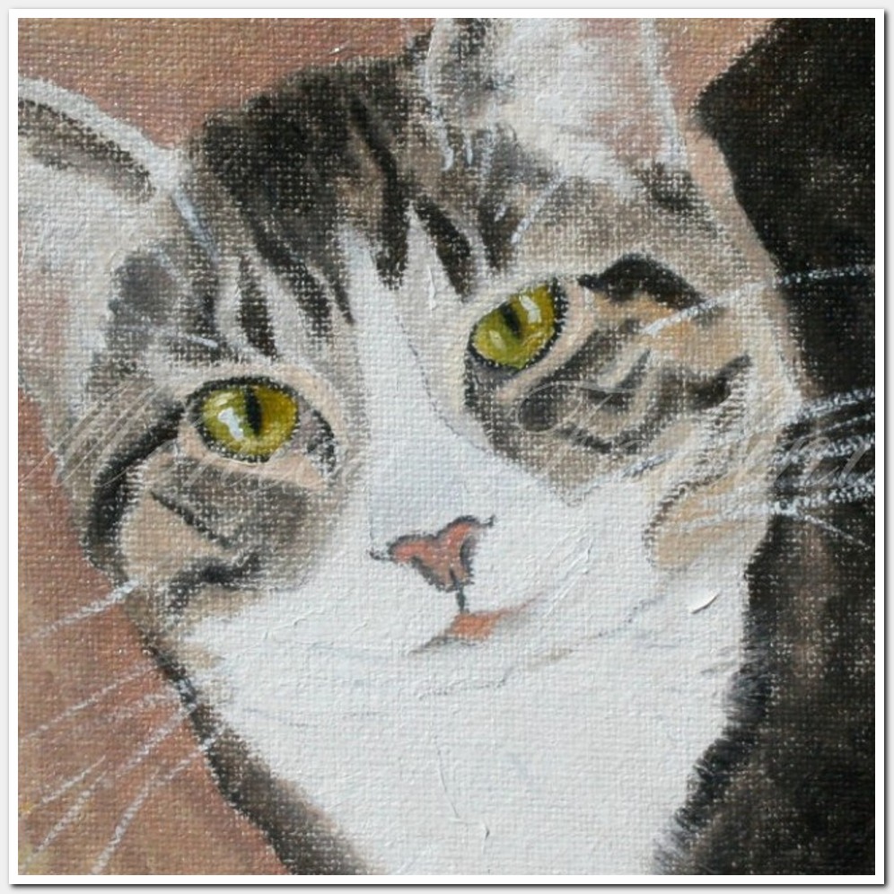 Painting titled 'Cat Portrait # 4' by Monica Fallini