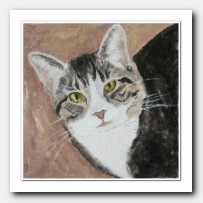 Cat Portrait # 4