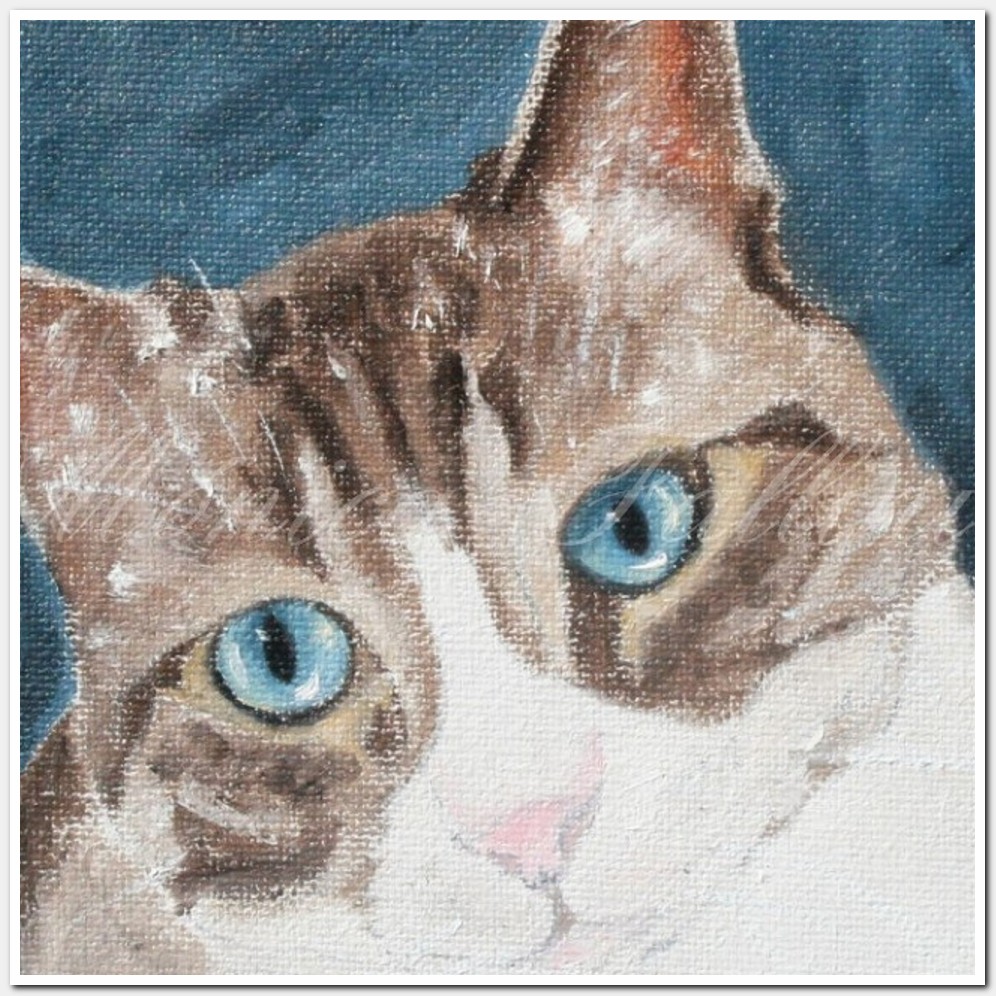Painting titled 'Cat Portrait # 5' by Monica Fallini