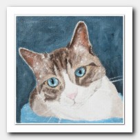 Cat Portrait # 5