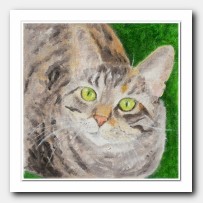 Cat Portrait # 6
