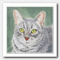 Cat Portrait # 7