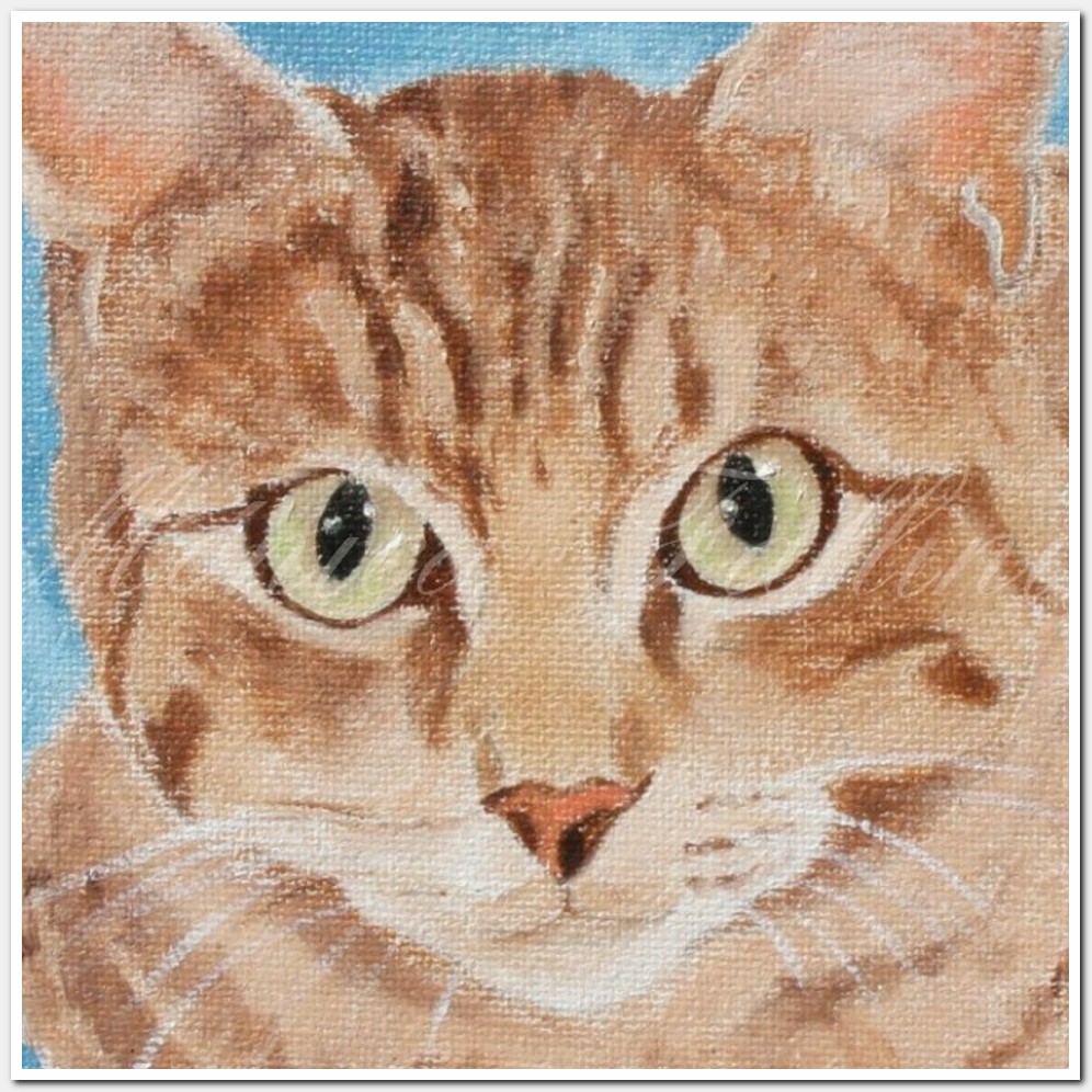 Painting titled 'Cat Portrait # 8' by Monica Fallini