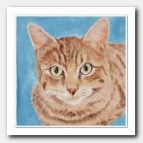 Cat Portrait # 8