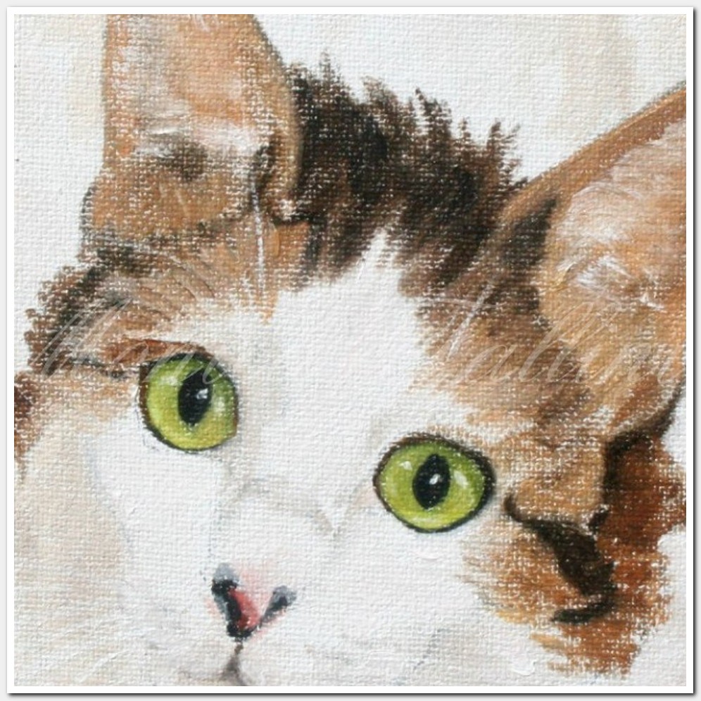 Painting titled 'Cat Portrait # 9' by Monica Fallini