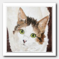 Cat Portrait # 9