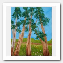 Eucalyptus study # 3