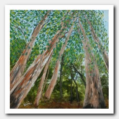 Eucalyptus study #1