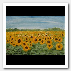 Sunflower in Texas # 2
