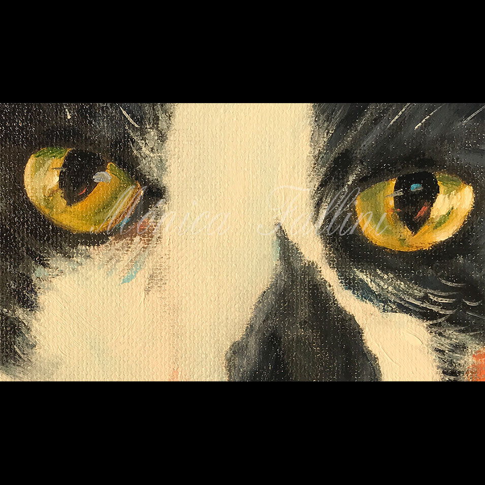 Painting titled 'Cat Timber Close-up on orange' by Monica Fallini